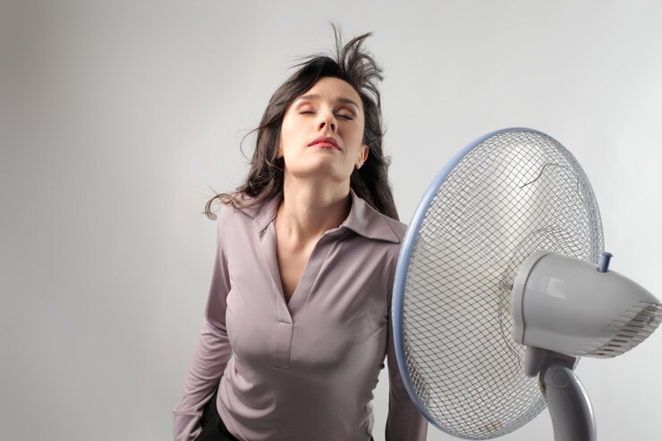 Vent Meaning